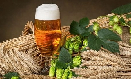 精釀啤酒中，如何選擇恰當(dāng)?shù)慕湻椒ǎ?> </a>
    </dt> 
    <dd> 
     <h4><a href=